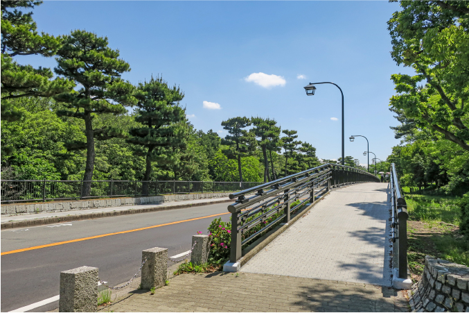 古墳に隣接する大仙公園。