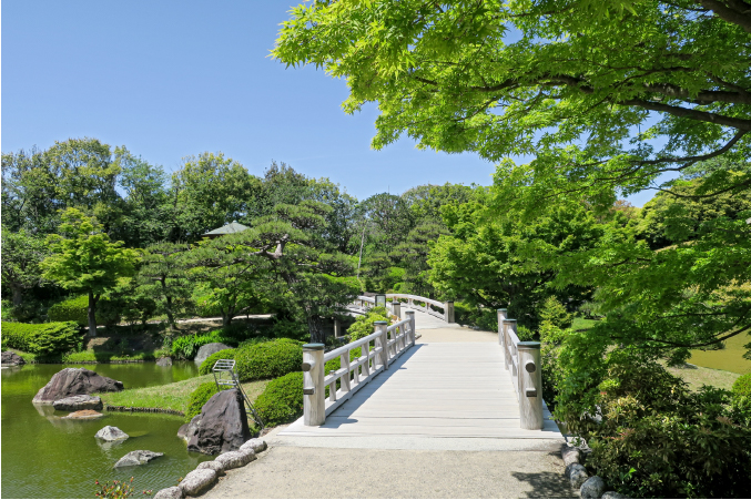 古墳に隣接する大仙公園。